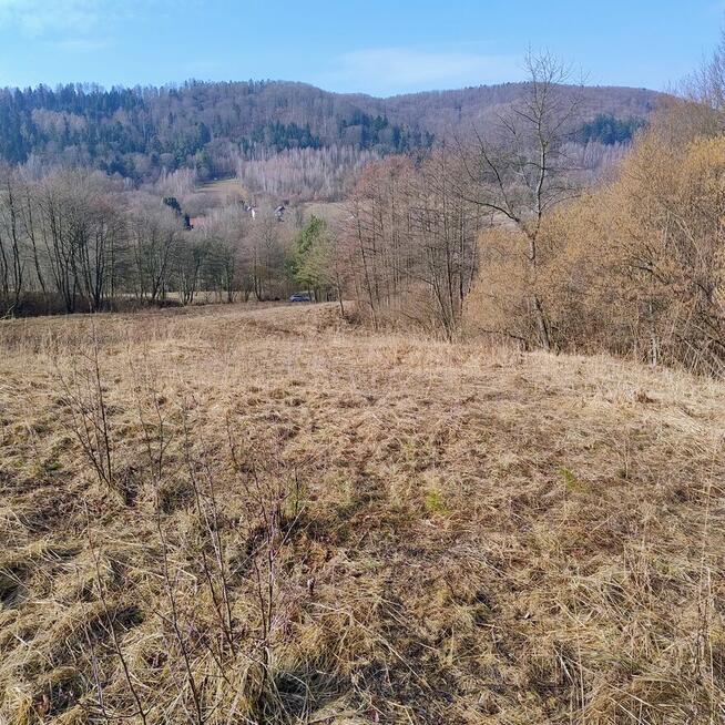 Sprzedam dom na dużej działce