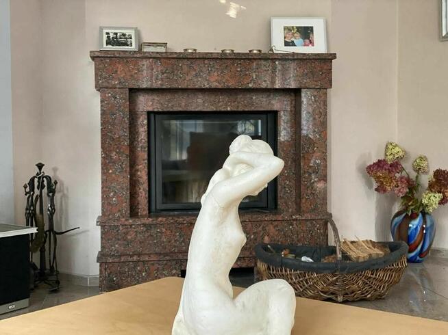 Szczecin! Przestronna willa w pobliżu jeziora Miewie