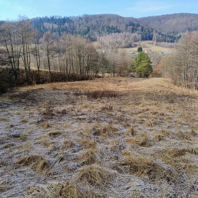 Sprzedam dom na dużej działce