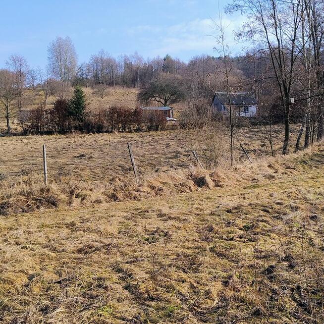 Sprzedam dom na dużej działce