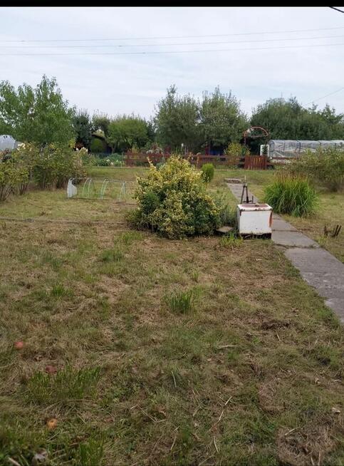 Sprzedam ogródek działkowy