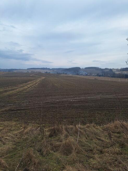 Sprzedam 2ha ziemi rolnej