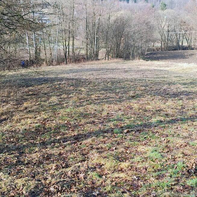 Sprzedam dom na dużej działce