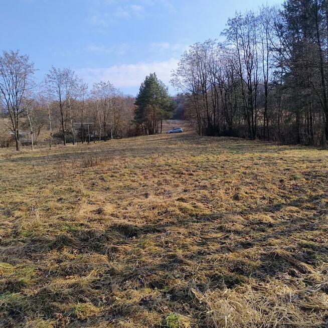 Sprzedam dom na dużej działce