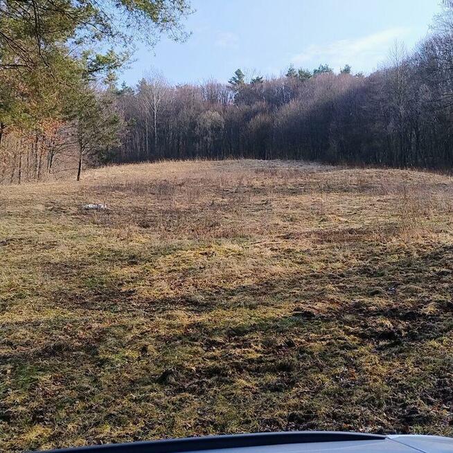 Sprzedam dom na dużej działce