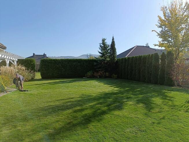 Ogrodnictwo, wycinka drzew, koszenie, wertykulacja,