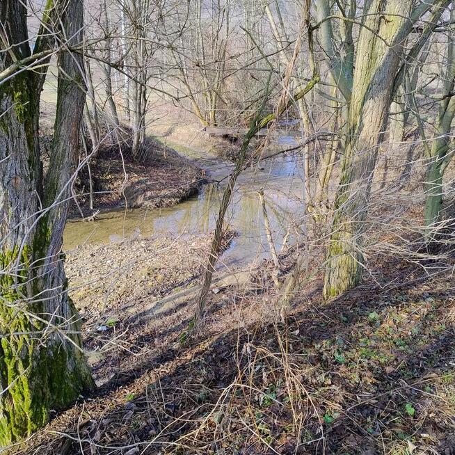 Sprzedam dom na dużej działce