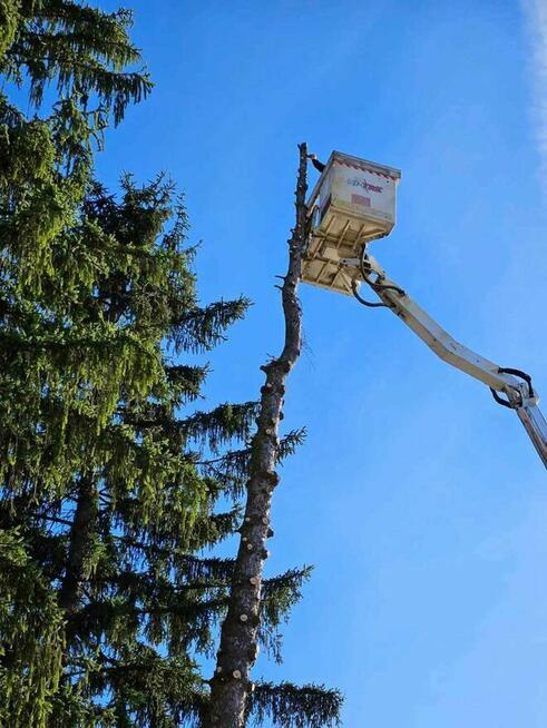 Ogrodnictwo, wycinka drzew, koszenie, wertykulacja,