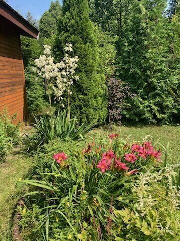 Sprzedam ROD Kraków Księcia Józefa