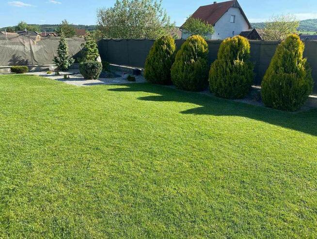 Ogrodnictwo, wycinka drzew, koszenie, wertykulacja,