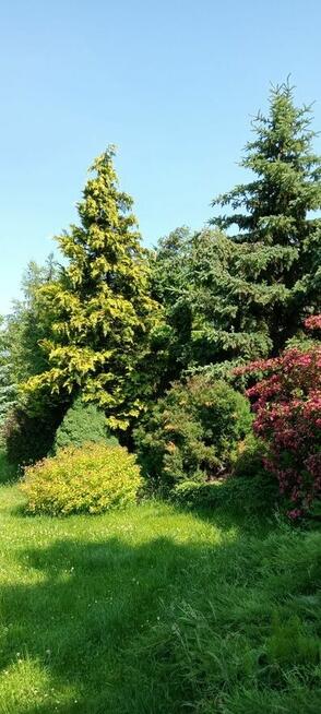 Domek na wsi pod lasem 70 zł/ pola, łąki