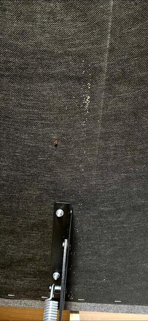 Usługi DDD (Dezynfekcja, Dezynsekcja, Deratyzacja), Odgrzybi