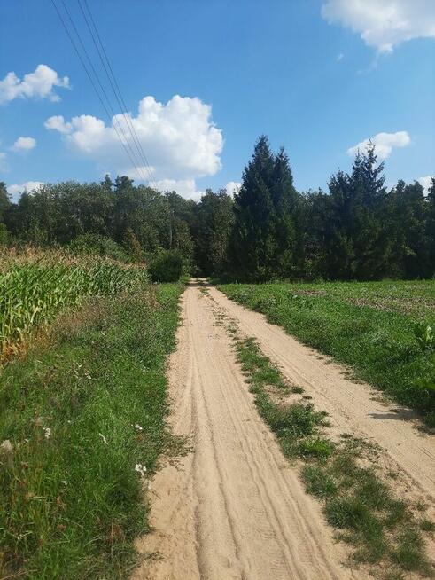 Domek na wsi pod lasem 70 zł/ pola, łąki