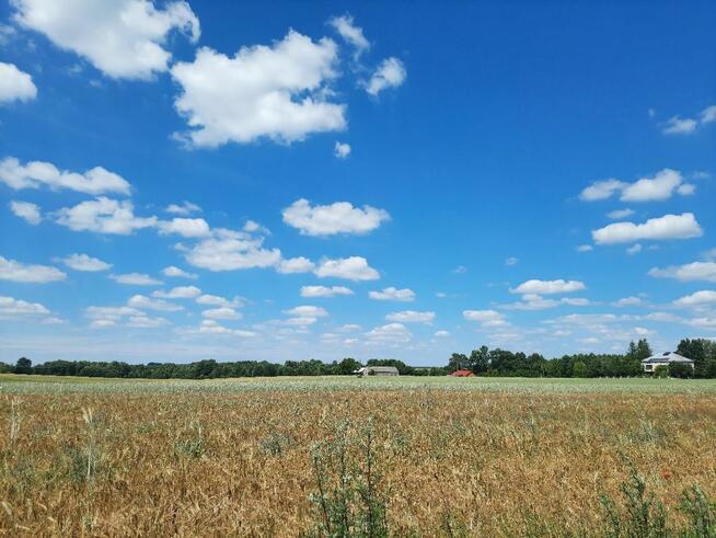 Domek na wsi pod lasem 70 zł/ pola, łąki