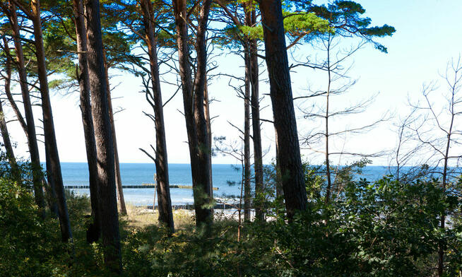 Z A T R U D N I M Y pokojową od kwietnia 2026