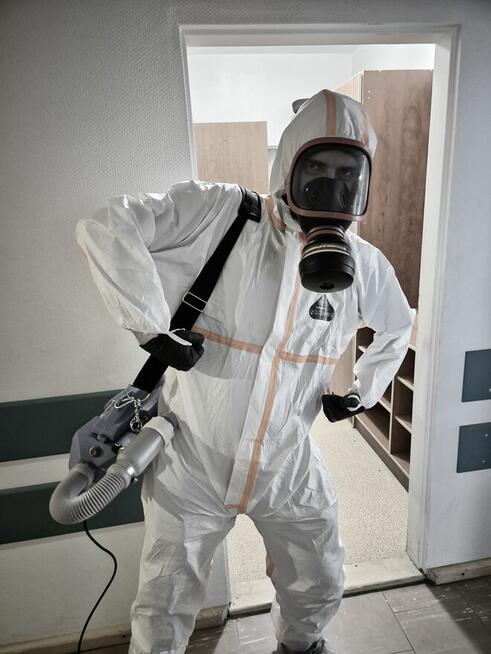 Usługi DDD (Dezynfekcja, Dezynsekcja, Deratyzacja), Odgrzybi