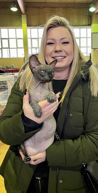 Sphynx • Sfonks i Likwidacja hodowli dorosle Kotetki • Wawa