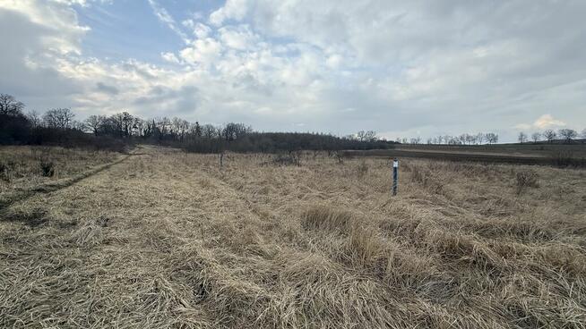 Warunki zabudowy, prąd, woda.