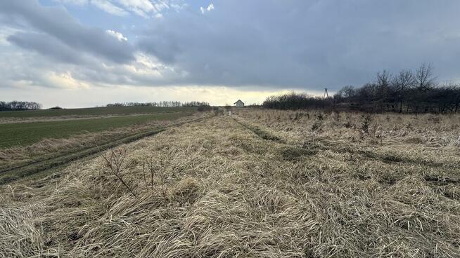Warunki zabudowy, prąd, woda.