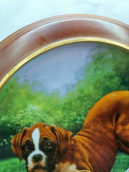 Talerz kolekcjonerski Bottoms Up! Boxer Anglia