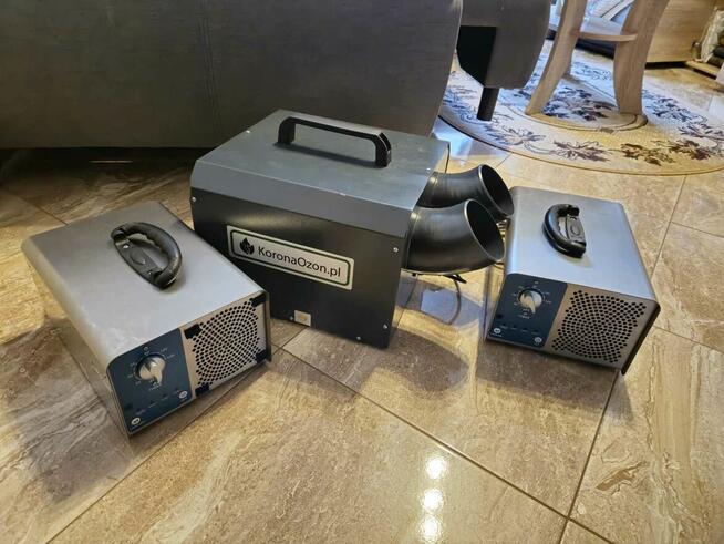 Usługi DDD (Dezynfekcja, Dezynsekcja, Deratyzacja), Odgrzybi