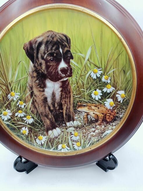 Talerz kolekcjonerski Frog Prince Boxer Anglia