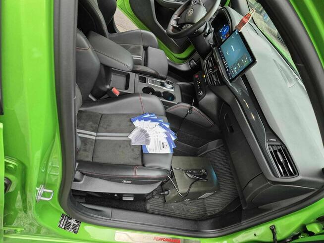 Usługi DDD (Dezynfekcja, Dezynsekcja, Deratyzacja), Odgrzybi