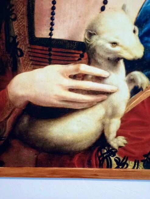 Obraz na płótnie - Dama z gronostajem, Leonardo, 50x70cm
