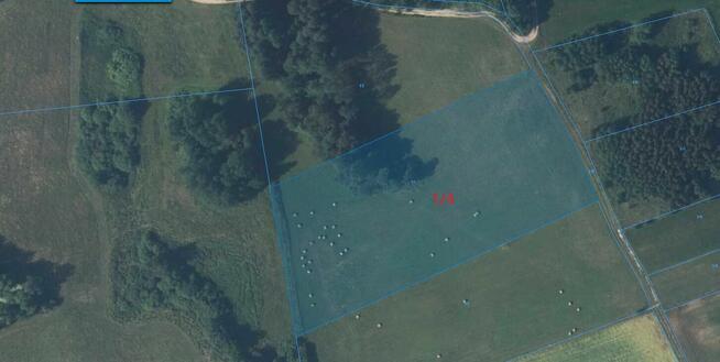 Sprzedam Działki Rolne Leśne