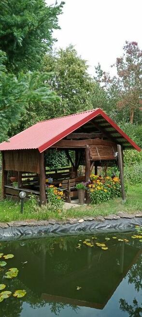 Domek na wsi pod lasem 70 zł/ pola, łąki