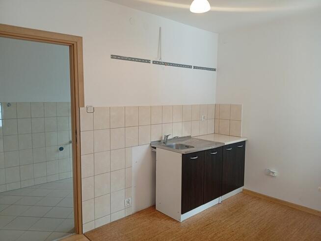 Mieszkanie do wynajęcia