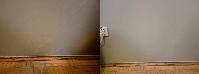 Usługi DDD (Dezynfekcja, Dezynsekcja, Deratyzacja), Odgrzybi