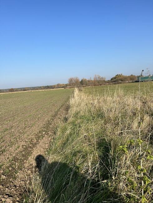 ziemia budowlana Nadwislanka 5219m 2 bezpośrednio