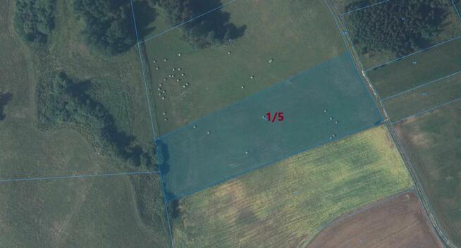 Sprzedam Działki Rolne Leśne