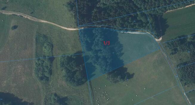 Sprzedam Działki Rolne Leśne