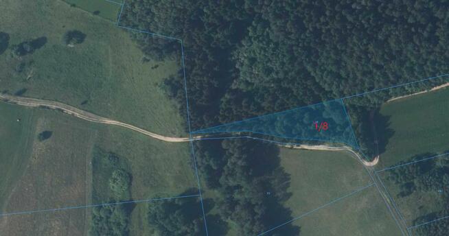 Sprzedam Działki Rolne Leśne