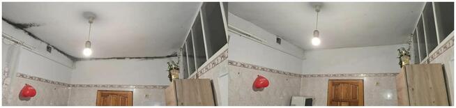 Usługi DDD (Dezynfekcja, Dezynsekcja, Deratyzacja), Odgrzybi