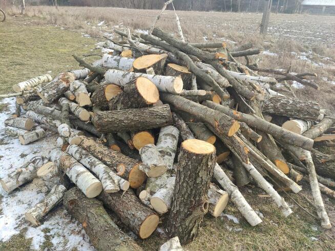 drewno opałowe suche