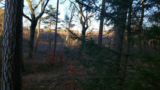 Poznam parę. Dłuższa, znajomosc