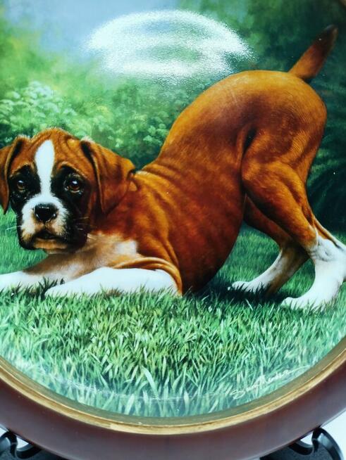 Talerz kolekcjonerski Bottoms Up! Boxer Anglia