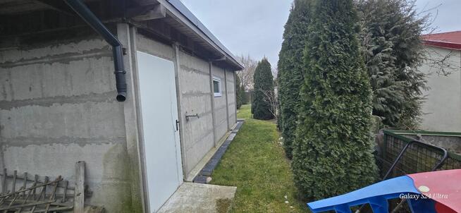 Ogródek Działkowy Sprzedam.