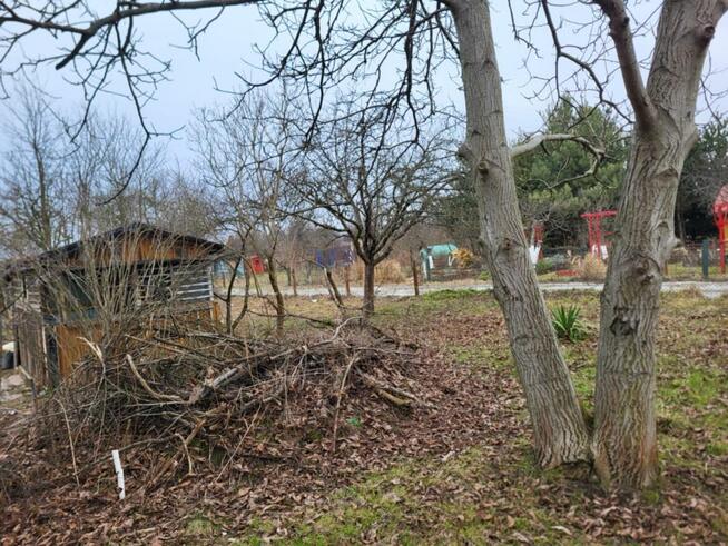 Sprzedam prawo do użytkowania działki ROD Wisieńka okolice u