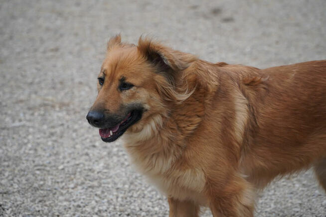 Czy ktoś pokocha Malagę?