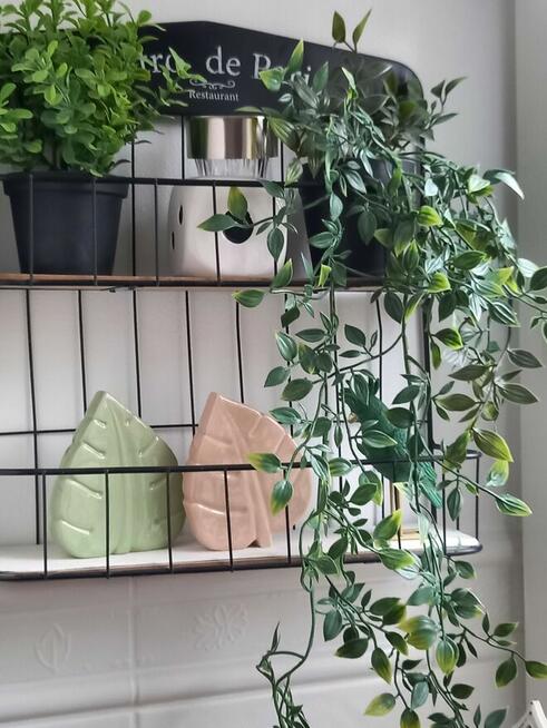 Apartament Relax w centrum Koszalina