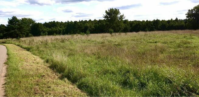 Działka budowlana w malowniczej dolinie Rozpudy