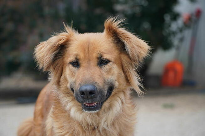 Czy ktoś pokocha Malagę?