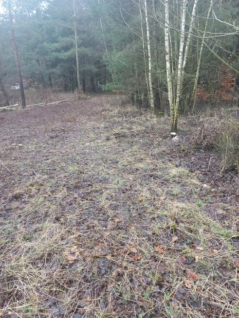 Sprzedam działkę rekreacyjną Żmijewko gmina Zbiczno