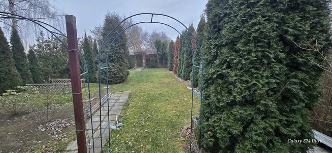 Ogródek Działkowy Sprzedam.