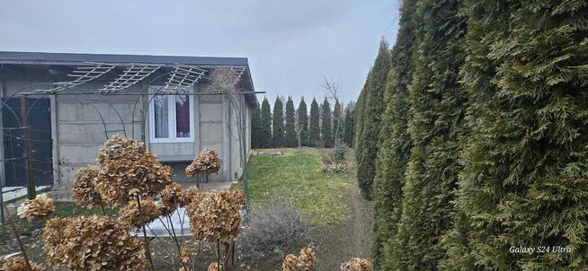 Ogródek Działkowy Sprzedam.