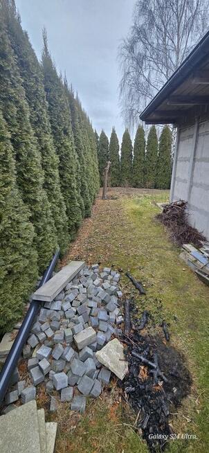 Ogródek Działkowy Sprzedam.